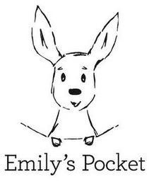 EMILY'S POCKET