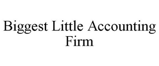 BIGGEST LITTLE ACCOUNTING FIRM