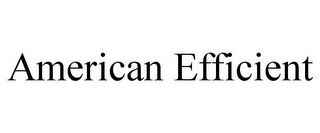 AMERICAN EFFICIENT