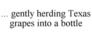 ... GENTLY HERDING TEXAS GRAPES INTO A BOTTLE