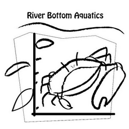 RIVER BOTTOM AQUATICS