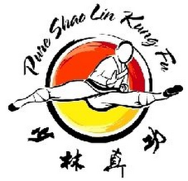 PURE SHAO LIN KUNG FU