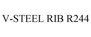 V-STEEL RIB R244