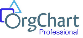 ORGCHART PROFESSIONAL