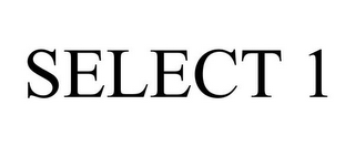 SELECT 1