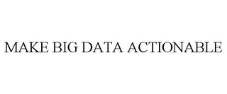 MAKE BIG DATA ACTIONABLE