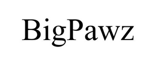 BIGPAWZ