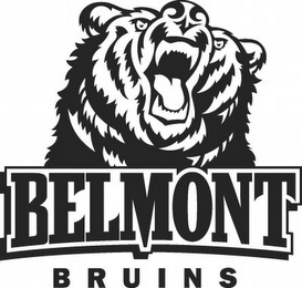 BELMONT BRUINS