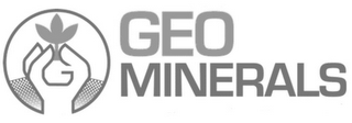 G GEO MINERALS