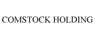 COMSTOCK HOLDING