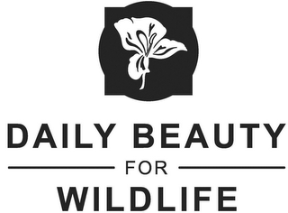 DAILY BEAUTY FOR WILDLIFE