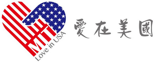 MIT LOVE IN USA