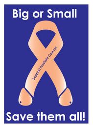 BIG OR SMALL SAVE THEM ALL! SUPPORT PROSTATE CANCER