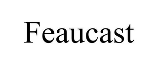 FEAUCAST