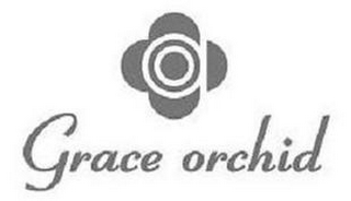 GRACE ORCHID