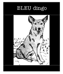 BLEU DINGO