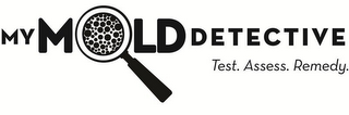 MYMOLDDETECTIVE TEST. ASSESS. REMEDY.