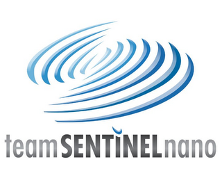 TEAMSENTINELNANO