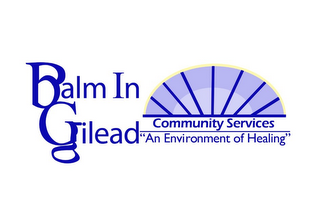 BALM IN GILEAD COMMUNITY SERVICES "AN ENVIRONMENT OF HEALING"