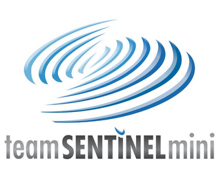 TEAMSENTINELMINI