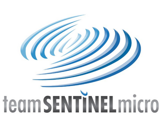 TEAMSENTINELMICRO