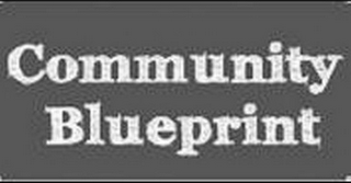 COMMUNITY BLUEPRINT