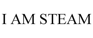 I AM STEAM