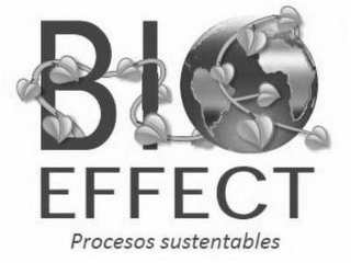 BIO EFFECT PROCESOS SUSTENTABLES