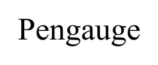 PENGAUGE