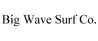 BIG WAVE SURF CO.