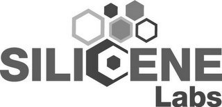 SILICENE LABS