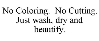 NO COLORING. NO CUTTING. JUST WASH, DRY AND BEAUTIFY.