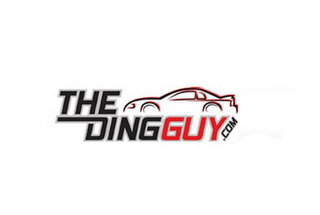 THEDINGGUY.COM