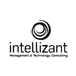 INTELLIZANT MANAGEMENT & TECHNOLOGY CONSULTING