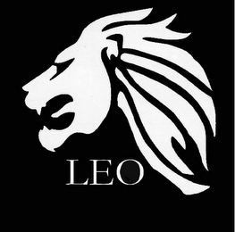 LEO