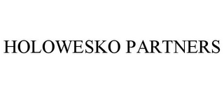 HOLOWESKO PARTNERS