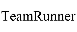 TEAMRUNNER