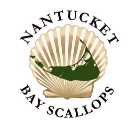 NANTUCKET BAY SCALLOPS