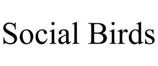 SOCIAL BIRDS