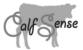 CALF SENSE