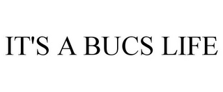 IT'S A BUCS LIFE