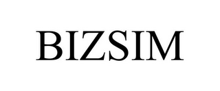 BIZSIM