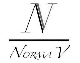 NORMA V N V