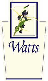 WATTS