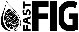 FAST FIG