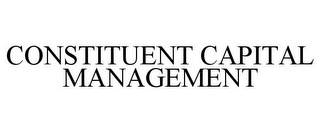 CONSTITUENT CAPITAL MANAGEMENT