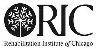 RIC REHABILITATION INSTITUTE OF CHICAGO
