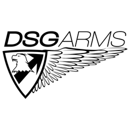 DSG ARMS