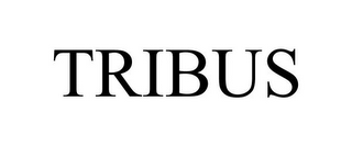 TRIBUS