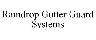 RAINDROP GUTTER GUARD SYSTEMS